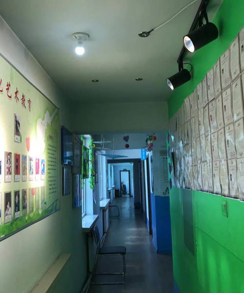 企业风采 内蒙古艺之声教育信息咨询的卓越之路